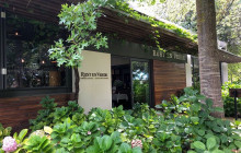 shine the way tours21