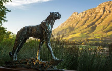 shine the way tours22