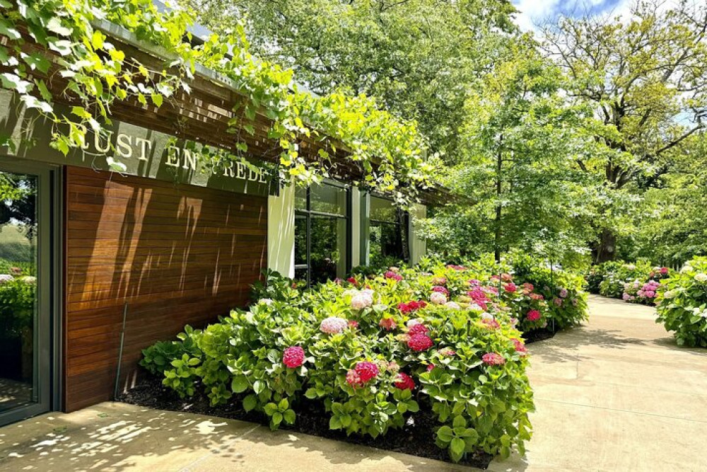 Full-day Vip Stellenbosch Wine Tour Waterford, Delaire Graff