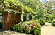 shine the way tours1