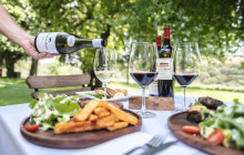 shine the way tours2