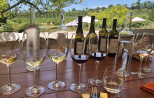 shine the way tours3