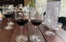 shine the way tours6