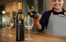 shine the way tours11