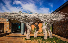 shine the way tours12