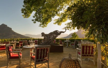 shine the way tours15