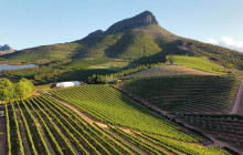 shine the way tours17