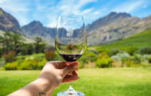 shine the way tours20