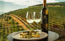 shine the way tours21