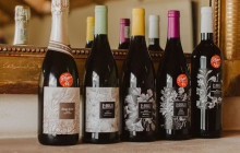 shine the way tours18