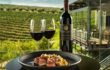 shine the way tours19