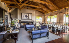 shine the way tours20