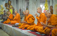 Discova Day Tours and Activities8