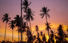 Discova Day Tours and Activities12