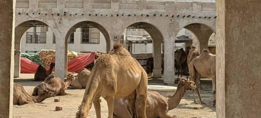 Treasure Hunt in Souq