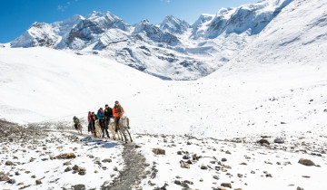 A picture of Ride Horse to Everest Base Camp