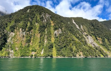 Kiwi Adventures Tour & Travel9