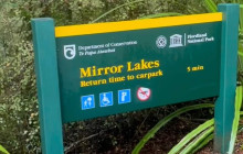 Kiwi Adventures Tour & Travel12