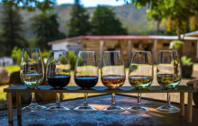 Kiwi Adventures Tour & Travel1