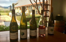 Kiwi Adventures Tour & Travel6