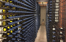 Kiwi Adventures Tour & Travel7