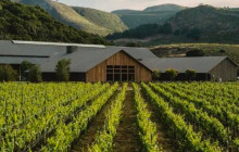 Kiwi Adventures Tour & Travel14