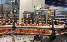 Kiwi Adventures Tour & Travel15