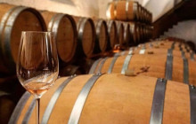 Kiwi Adventures Tour & Travel16