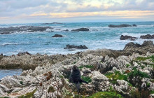 Kiwi Adventures Tour & Travel7