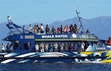 Kiwi Adventures Tour & Travel14