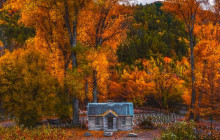 Kiwi Adventures Tour & Travel14