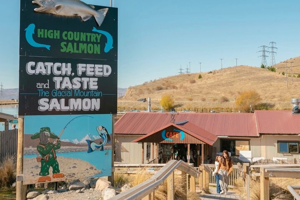 Christchurch To Queenstown One Way Tour Via Lake Tekapo & Mt Cook