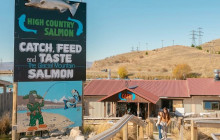 Kiwi Adventures Tour & Travel24