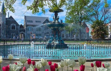 Kiwi Adventures Tour & Travel2