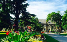 Kiwi Adventures Tour & Travel3