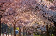 Kiwi Adventures Tour & Travel5