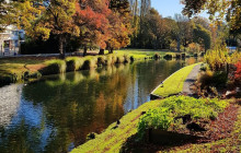 Kiwi Adventures Tour & Travel6