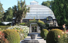 Kiwi Adventures Tour & Travel8