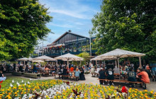 Kiwi Adventures Tour & Travel10