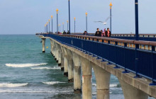 Kiwi Adventures Tour & Travel12