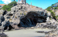 Kiwi Adventures Tour & Travel16