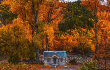 Kiwi Adventures Tour & Travel2