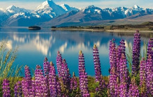 Kiwi Adventures Tour & Travel8