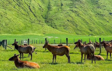 Kiwi Adventures Tour & Travel9