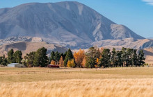 Kiwi Adventures Tour & Travel8