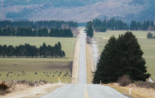 Kiwi Adventures Tour & Travel10