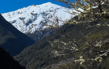 Kiwi Adventures Tour & Travel13