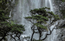 Kiwi Adventures Tour & Travel15