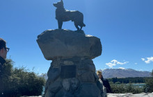 Kiwi Adventures Tour & Travel3