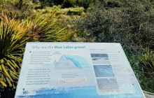 Kiwi Adventures Tour & Travel5